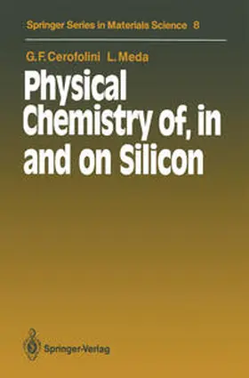 Cerofolini / Meda |  Physical Chemistry of, in and on Silicon | eBook | Sack Fachmedien