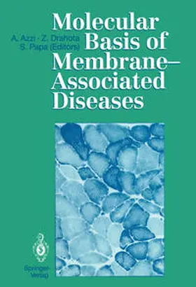 Azzi / Drahota / Papa |  Molecular Basis of Membrane-Associated Diseases | eBook | Sack Fachmedien