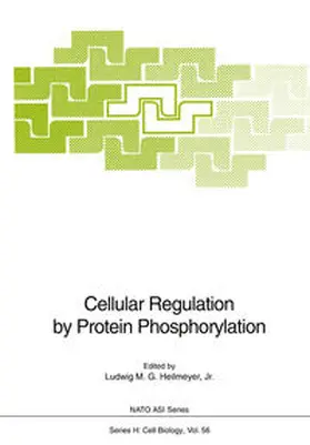 Heilmeyer |  Cellular Regulation by Protein Phosphorylation | eBook | Sack Fachmedien