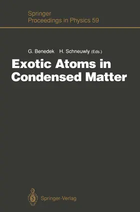 Benedek / Schneuwly |  Exotic Atoms in Condensed Matter | Buch |  Sack Fachmedien