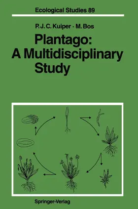 Kuiper / Bos |  Plantago: A Multidisciplinary Study | Buch |  Sack Fachmedien
