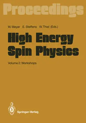 Meyer / Steffens / Thiel |  High Energy Spin Physics | eBook | Sack Fachmedien