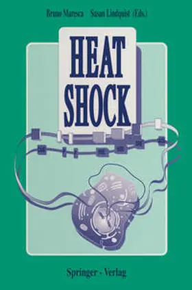Maresca / Lindquist |  Heat Shock | eBook | Sack Fachmedien