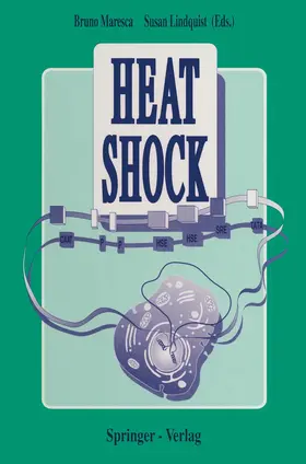 Maresca / Lindquist |  Heat Shock | Buch |  Sack Fachmedien