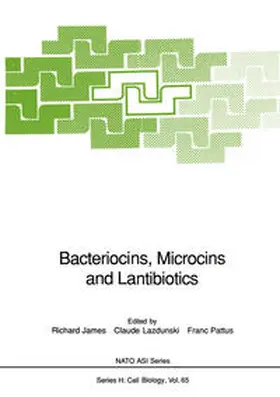 James / Lazdunski / Pattus |  Bacteriocins, Microcins and Lantibiotics | eBook | Sack Fachmedien