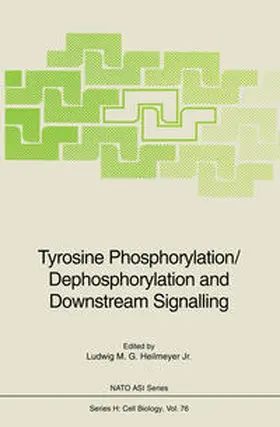 Heilmeyer |  Tyrosine Phosphorylation/Dephosphorylation and Downstream Signalling | eBook | Sack Fachmedien
