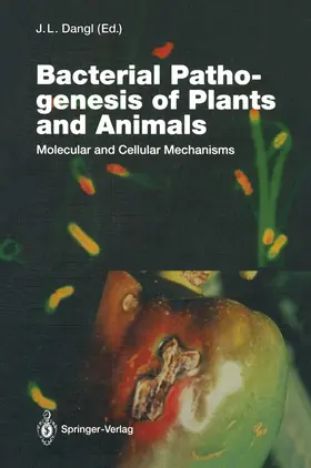 Dangl |  Bacterial Pathogenesis of Plants and Animals | Buch |  Sack Fachmedien