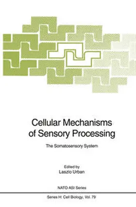 Urban |  Cellular Mechanisms of Sensory Processing | eBook | Sack Fachmedien