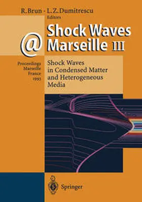 Brun / Dumitrescu |  Shock Waves @ Marseille III | eBook | Sack Fachmedien