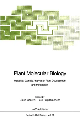 Puigdomenech / Coruzzi |  Plant Molecular Biology | Buch |  Sack Fachmedien