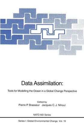 Nihoul / Brasseur |  Data Assimilation | Buch |  Sack Fachmedien