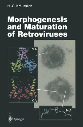 Kräusslich |  Morphogenesis and Maturation of Retroviruses | Buch |  Sack Fachmedien