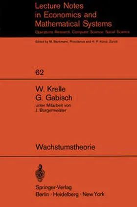 Krelle / Gabisch |  Wachstumstheorie | eBook | Sack Fachmedien