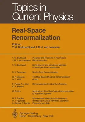 Burkhardt / Leeuwen |  Real-Space Renormalization | Buch |  Sack Fachmedien