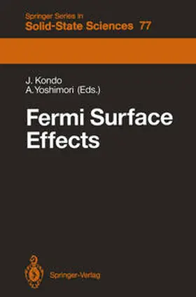 Kondo / Yoshimori |  Fermi Surface Effects | eBook | Sack Fachmedien