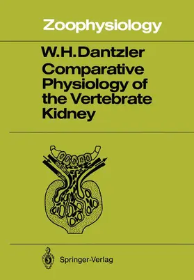 Dantzler |  Comparative Physiology of the Vertebrate Kidney | Buch |  Sack Fachmedien