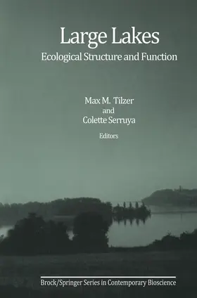 Tilzer / Serruya |  Large Lakes | Buch |  Sack Fachmedien
