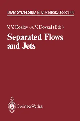Dovgal / Kozlov |  Separated Flows and Jets | Buch |  Sack Fachmedien