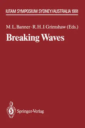 Grimshaw / Banner |  Breaking Waves | Buch |  Sack Fachmedien