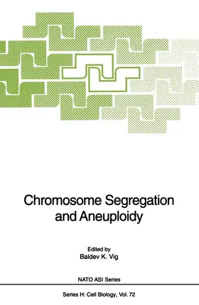 Vig |  Chromosome Segregation and Aneuploidy | Buch |  Sack Fachmedien