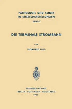 Illig |  Die Terminale Strombahn | eBook | Sack Fachmedien