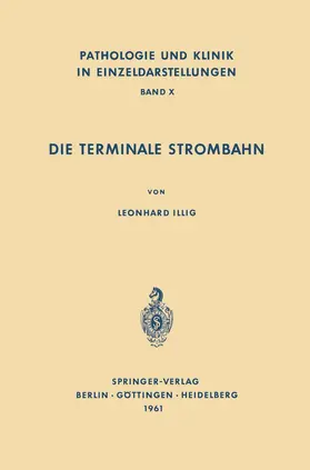 Illig |  Die Terminale Strombahn | Buch |  Sack Fachmedien