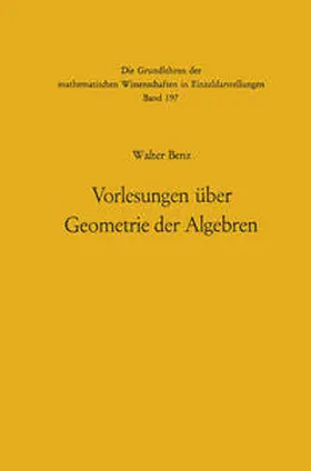 Benz |  Vorlesungen über Geometrie der Algebren | eBook | Sack Fachmedien