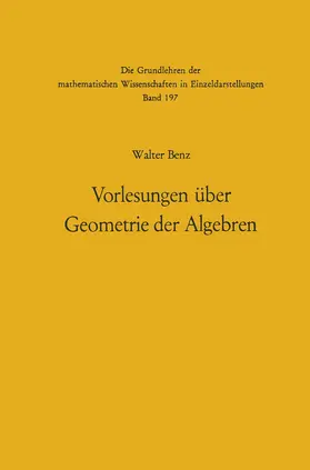 Benz |  Vorlesungen über Geometrie der Algebren | Buch |  Sack Fachmedien
