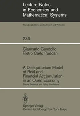Gandolfo / Padoan |  A Disequilibrium Model of Real and Financial Accumulation in an Open Economy | eBook | Sack Fachmedien