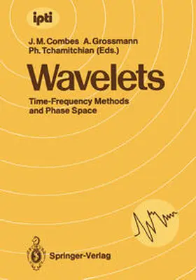 Combes / Grossmann / Tchamitchian |  Wavelets | eBook | Sack Fachmedien