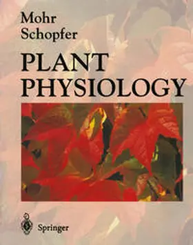 Mohr / Schopfer |  Plant Physiology | eBook | Sack Fachmedien
