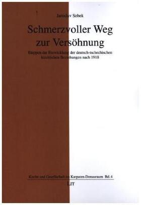 Sebek / Šebek |  Schmerzvoller Weg zur Versöhnung | Buch |  Sack Fachmedien