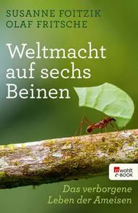 Foitzik / Fritsche |  Weltmacht auf sechs Beinen | eBook | Sack Fachmedien