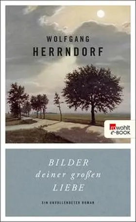 Herrndorf | Bilder deiner großen Liebe | E-Book | www2.sack.de