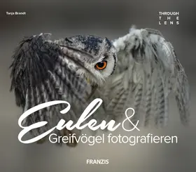 Brandt |  Eulen & Greifvögel fotografieren | eBook | Sack Fachmedien
