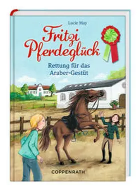 May |  Fritzi Pferdeglück - Rettung für das Araber-Gestüt | Buch |  Sack Fachmedien