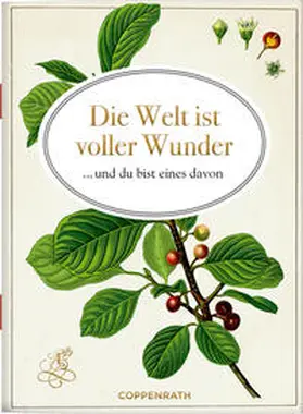 Gebhardt |  Die Welt ist voller Wunder | Buch |  Sack Fachmedien