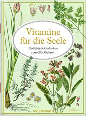 Gebhardt |  Vitamine für die Seele | Buch |  Sack Fachmedien