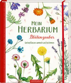 Zysk |  Mein Herbarium: Blütenzauber | Buch |  Sack Fachmedien