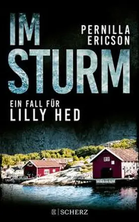 Ericson | Im Sturm | Buch | 978-3-651-00110-7 | www2.sack.de