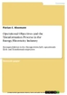 Kleemann |  Operational Objectives and the Transformation Process in the Energy/Electricity Industry | eBook | Sack Fachmedien