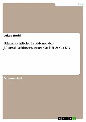 Hechl |  Bilanzrechtliche Probleme des Jahresabschlusses einer GmbH & Co KG | eBook | Sack Fachmedien