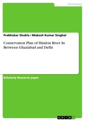 Shukla / Singhal |  Conservation Plan of Hindon River In Between Ghaziabad and Delhi | Buch |  Sack Fachmedien