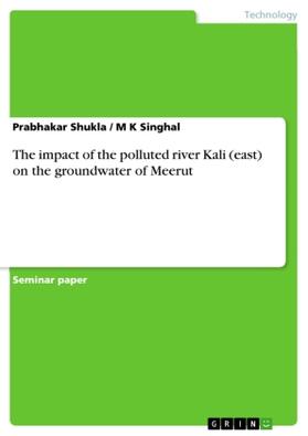 Shukla / Singhal |  The impact of the polluted river Kali (east) on the groundwater of Meerut | Buch |  Sack Fachmedien