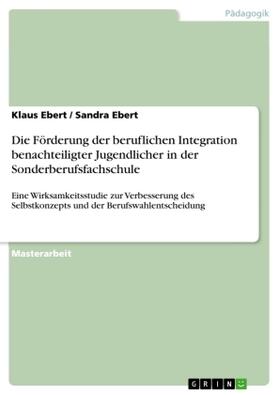 Ebert |  Die Förderung der beruflichen Integration benachteiligter Jugendlicher in der Sonderberufsfachschule | Buch |  Sack Fachmedien