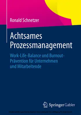 Schnetzer |  Achtsames Prozessmanagement | eBook | Sack Fachmedien