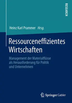 Prammer |  Ressourceneffizientes Wirtschaften | Buch |  Sack Fachmedien