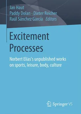 Haut / Sánchez García / Dolan |  Excitement Processes | Buch |  Sack Fachmedien