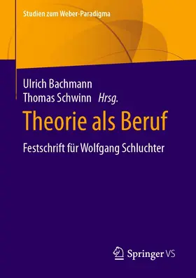 Bachmann / Schwinn |  Theorie als Beruf | eBook | Sack Fachmedien
