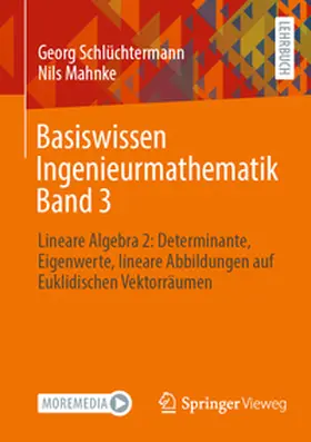 Schlüchtermann / Mahnke |  Basiswissen Ingenieurmathematik Band 3 | eBook | Sack Fachmedien